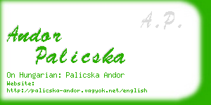andor palicska business card
